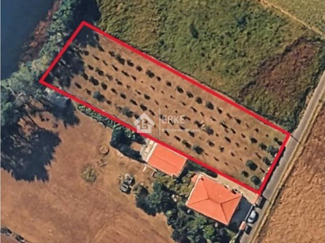 TERRENO AGRARIO EN LIRES, CÉE