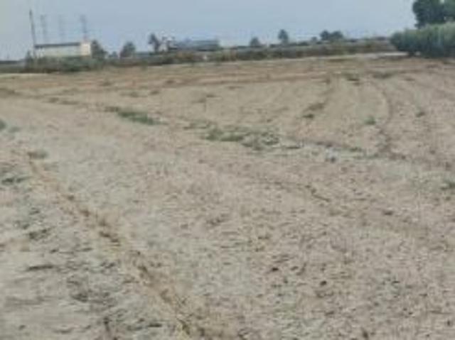 Terreno Agrario La Ñorica, Totana