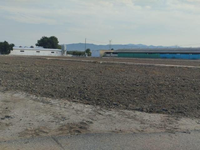 Terreno Agrario Lébor Bajo, Totana