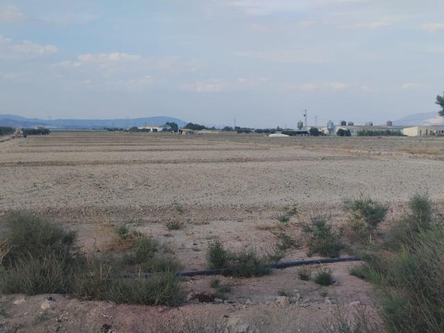 Terreno Agrario Raiguero Alto, Totana