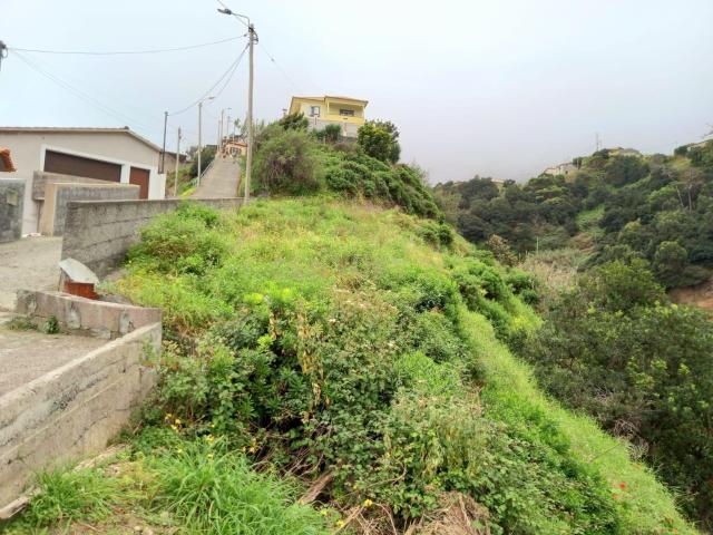 Terreno agrícola Maiata Machico