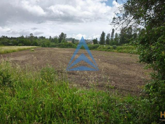 TERRENO AGRICOLA NA REDINHA | 26064084594