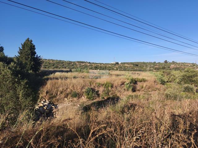 Terreno agrícola no Vale de Bensafrim