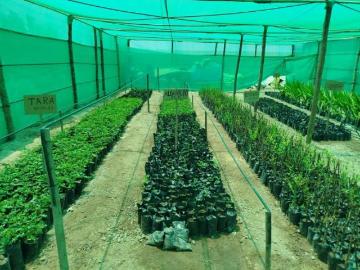 TERRENO AGRICOLA ó DESARROLLO Urb.Rural, 15 Has Km 817.5 Panam Sur Camana AREQ
