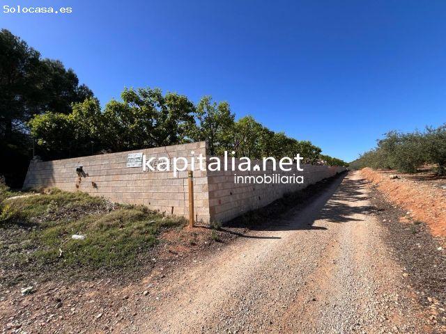 TERRENO AGRICOLA A LA VENTA EN SELLENT