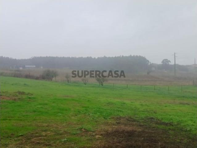 Terreno agrícola à Venda, A dos cunhados e Maceira, Torres Vedras