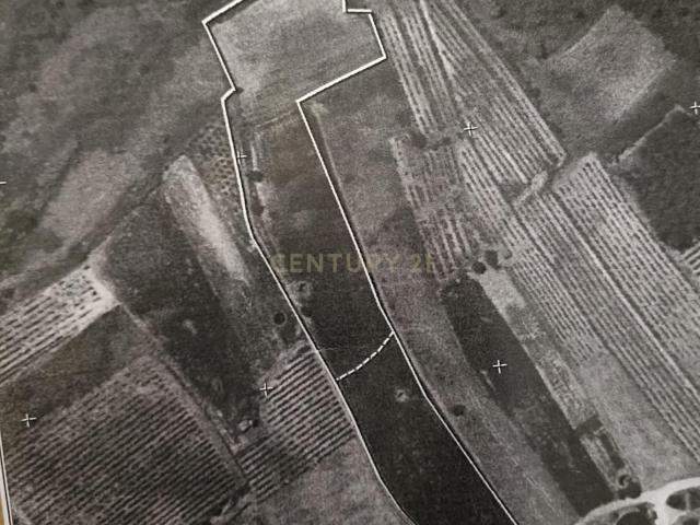 Terreno Agrícola à Venda em Mamarrosa 9160m²