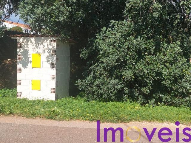 Terreno Agricola | Loule