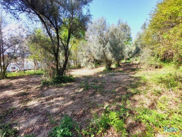 Terreno Agricola Caldelas | 26083541127