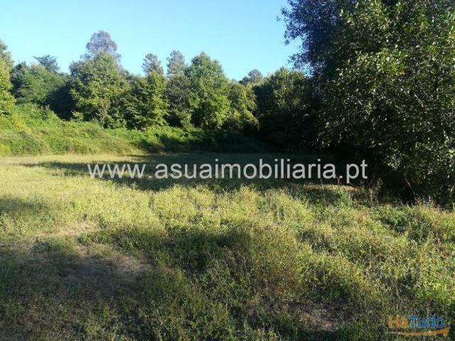 Terreno Agrícola Caldelas | 26083564436