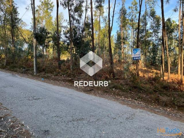 TERRENO AGRICOLA CERVÃES BARCELOS | 26083231838