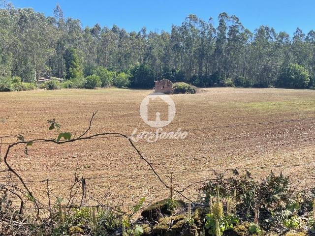Terreno agrícola com 45.000m2 e 100m frente em Balazar, Póvoa de varzim