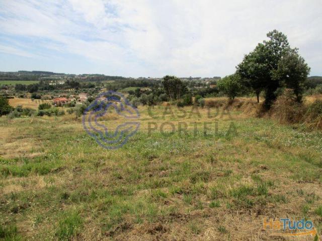 Terreno agrícola com 4.280 m2 a 5 minutos da Aldeia de Dornes, centro de Portugal | 26083856216
