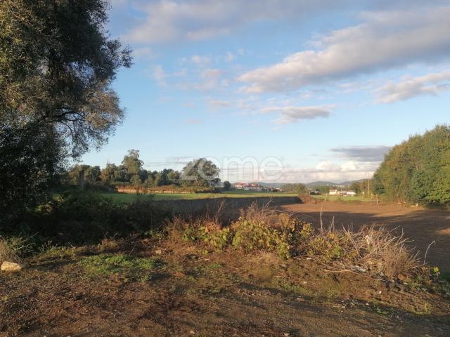 Terreno agrícola com 6.650 M2 em Minhotães Barcelos