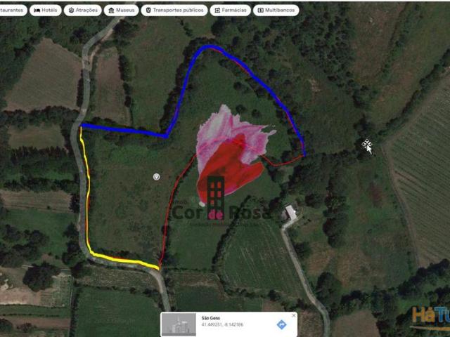 Terreno agrícola com 0.995000 ha ? S. Gens Fafe | 26063226645