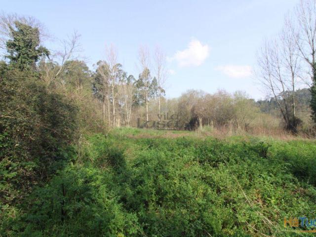 Terreno Agrícola com 1340 m² | Olival | 26084072941