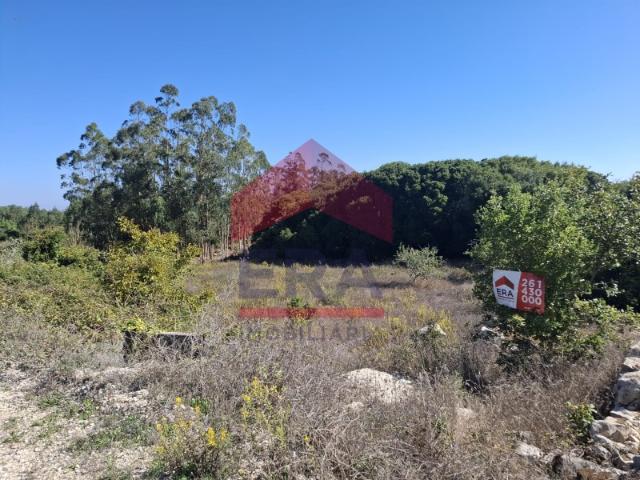 Terreno agrícola com 1960m2
