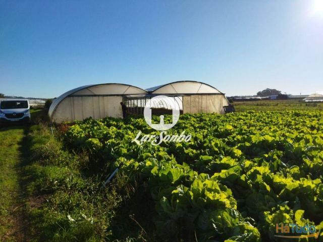Terreno agrícola com 1.900m2, na Póvoa de Varzim | 26084097080