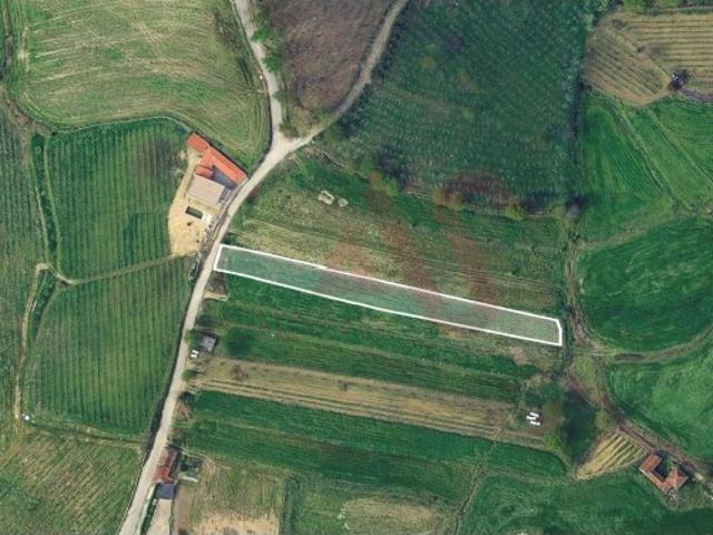Terreno Agrícola com 2290m2 em Silvares, Lousada