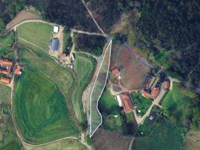Terreno Agrícola com 2400m2 em Silvares, Lousada