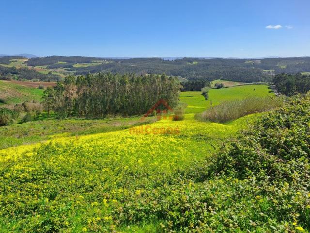 Terreno Agrícola com 26.760 m² no Vimeiro Lourinhã