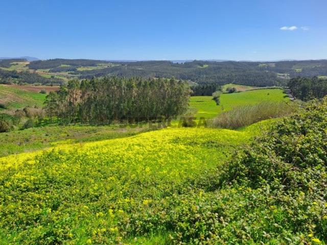 Terreno Agrícola com 26.760 m² no Vimeiro Lourinhã