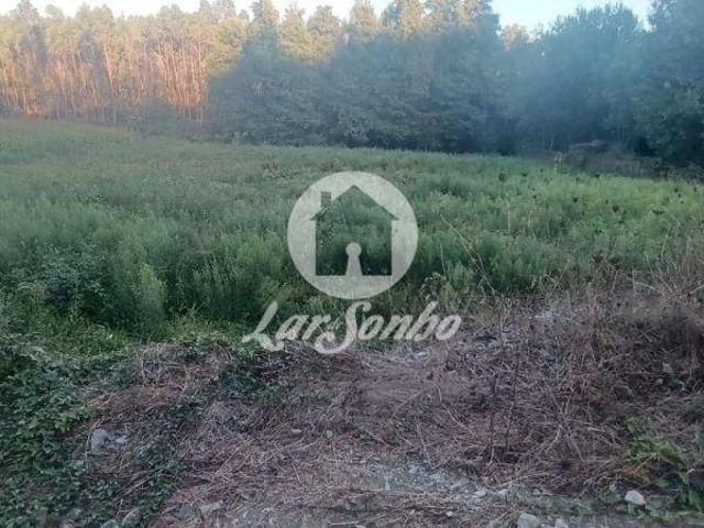 Terreno agrícola com 2.100 m2 em Ribeirão | 26063379237
