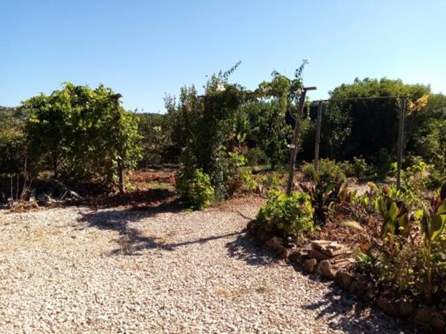 Terreno Agrícola com 2.120 m², São Bartolomeu de Messines, Algarve