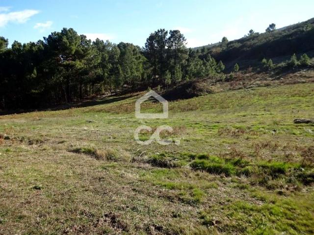 TERRENO AGRICOLA 31.000m2