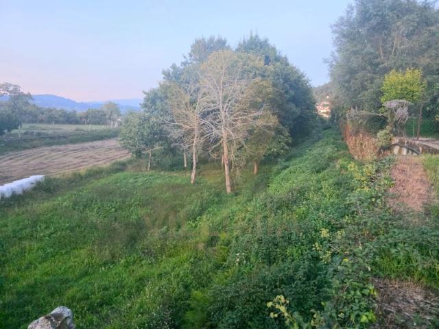 Terreno Agrícola com 3587 m² S. Martinho da Gandra, Ponte de Lima