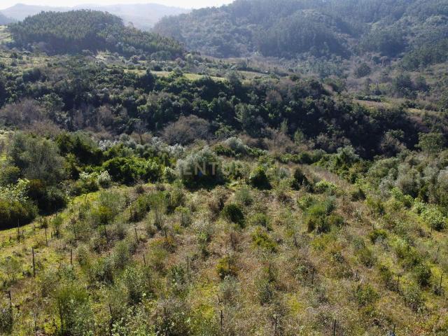 Terreno Agrícola com Vinha 4562 m² – Chanca, Sobral da Abelheira