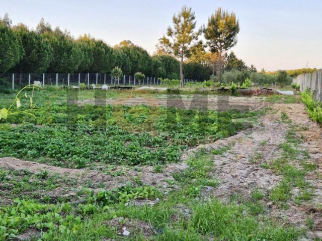 Terreno Agrícola com Água Abundante e Autonomia Energética em Foros Novos Benfica do Ribatejo