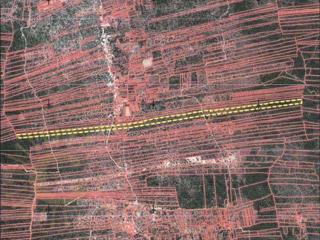 Terreno agrícola com alfarrobeiras, amendoeiras, oliveiras e figueiras situado em Nave do Barão/ Salir