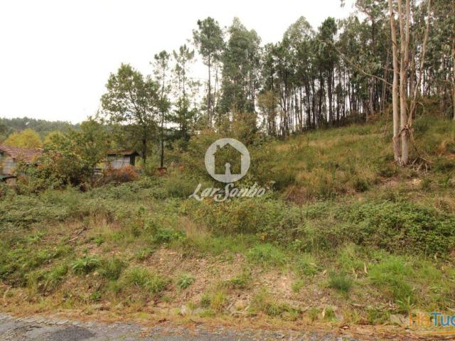 Terreno Agrícola com Excelente Localização 3.300 m² | 26084064213