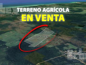 TERRENO AGR?COLA DE ENSUE?O EN VENTA, EN CHAMPOT?N, CAMPECHE
