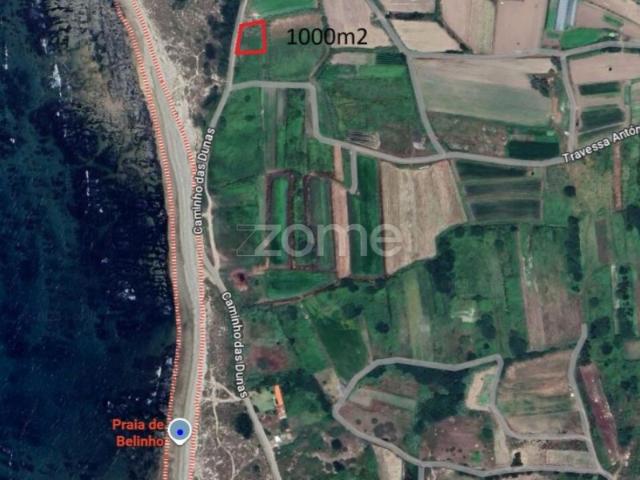 Terreno Agrícola de frente para o Mar