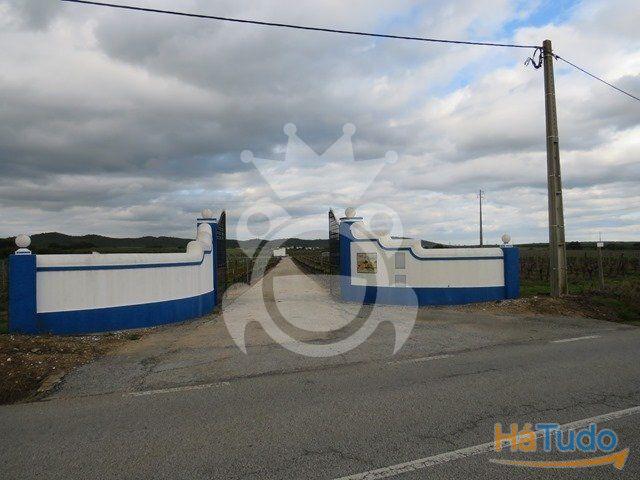 Terreno Agrícola de 11,1 ha com Vinha, Olival e Sistema de Rega ? Monsaraz | 26064061873