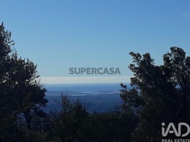 Terreno Agrícola em Monchique