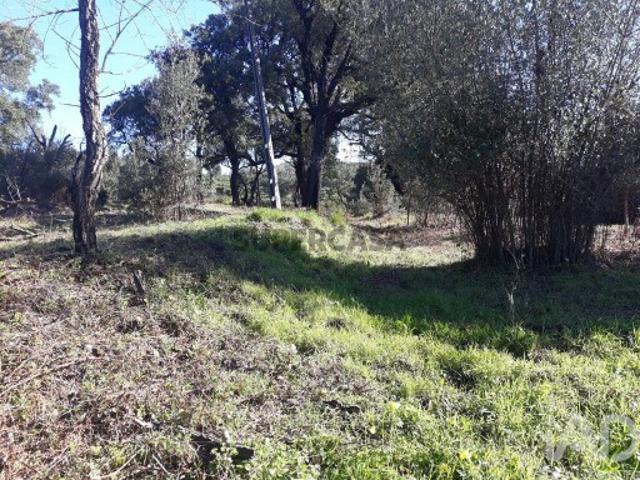 Terreno Agrícola em Monchique