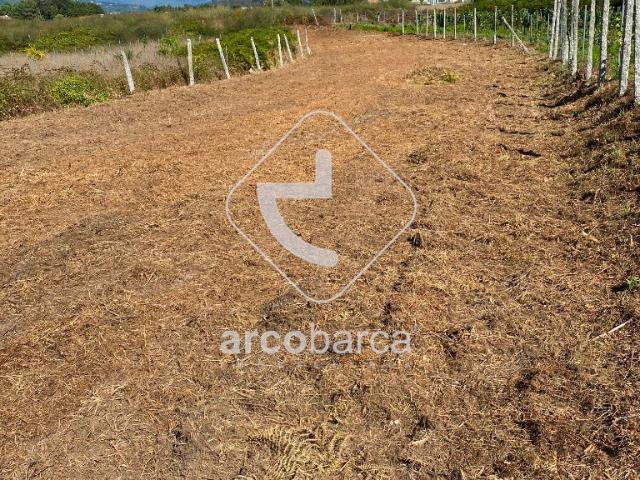 Terreno agrícola em Oleiros Ponte da Barca