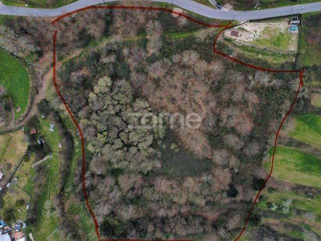 Terreno Agricola em Atães Guimarães com 12.000M2