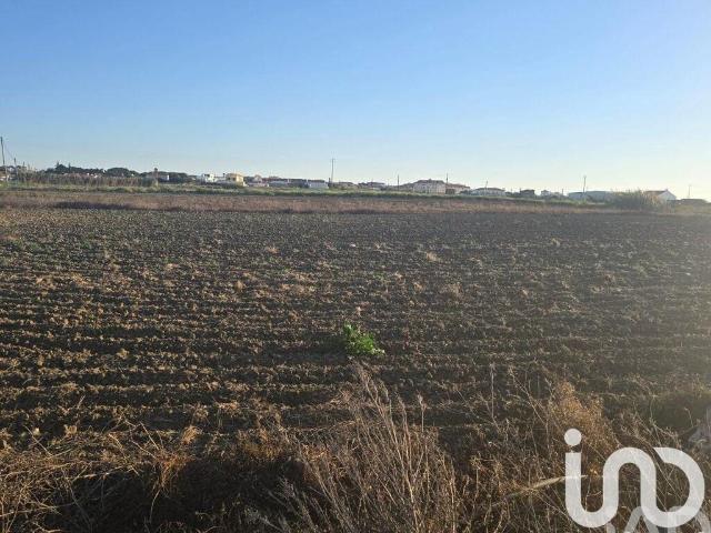 Terreno Agrícola em Atouguia da Baleia