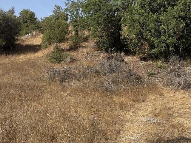 Terreno Agrícola em Algoz e Tunes