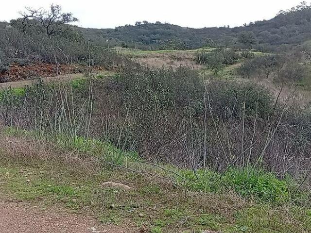 Terreno Agrícola em Ameixial