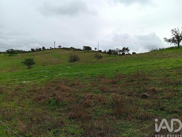 Terreno Agrícola em Ameixial