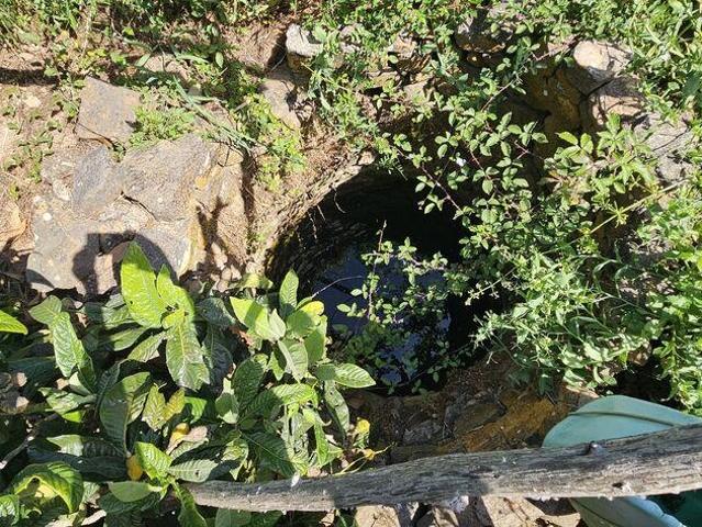 Terreno Agrícola em Budens