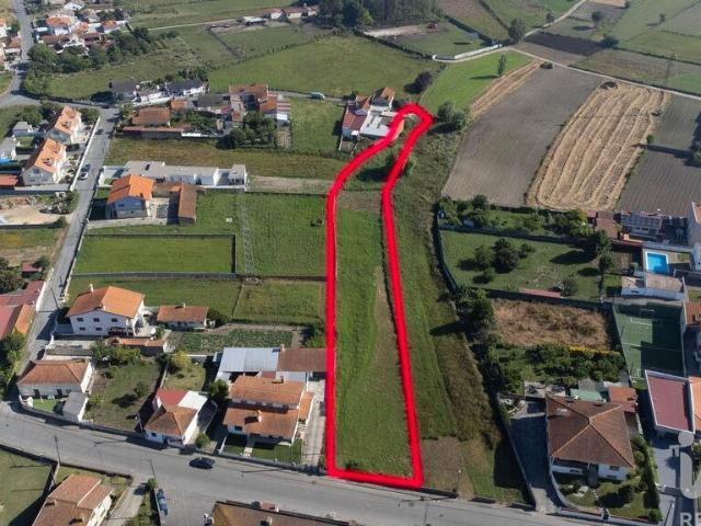 Terreno Agrícola em Beduído e Veiros
