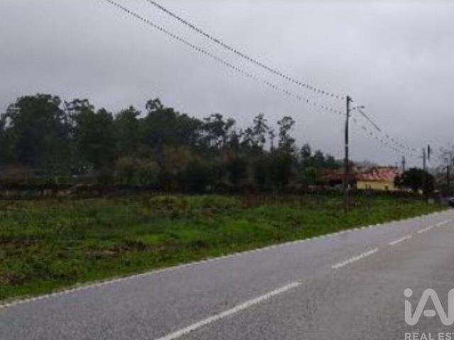 Terreno Agrícola em Canas de Santa Maria