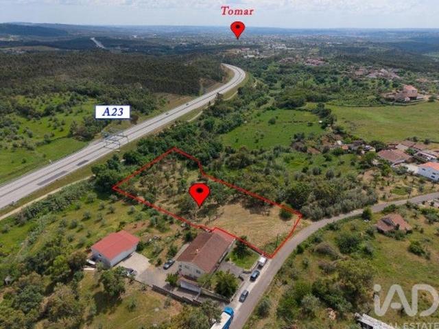 Terreno Agrícola em Casais e Alviobeira
