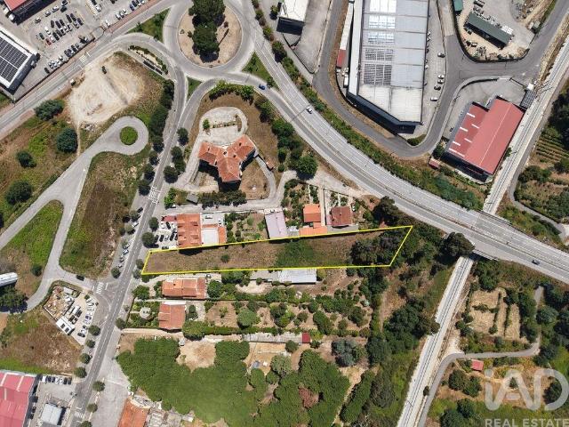 Terreno Agrícola em Carregal do Sal